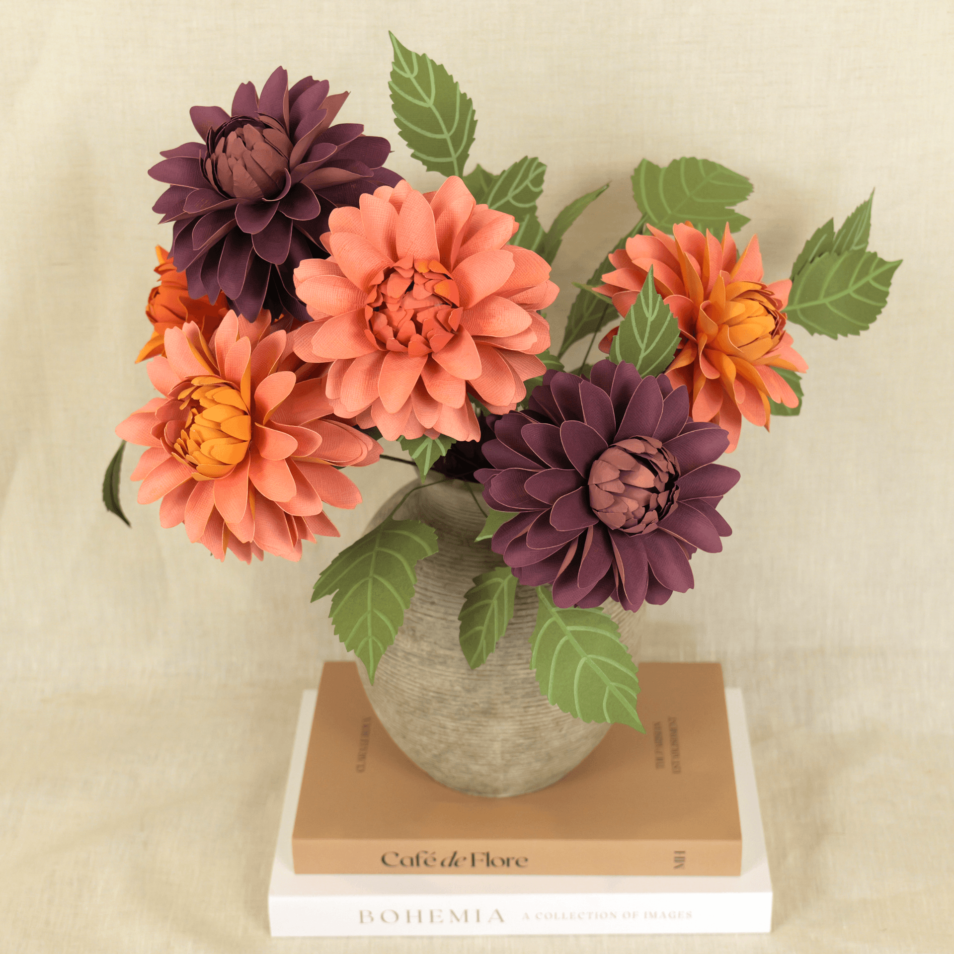 Pacific dahlia